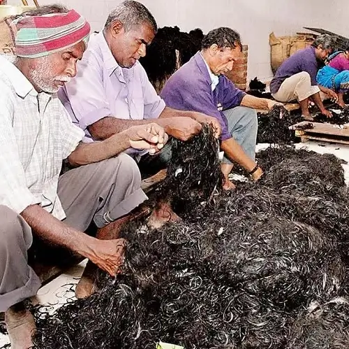 Raw Hair Video of Raw Indian Hair sorting process
